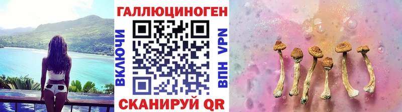 Купить где  Богданович  Псилоцибиновые грибы Magic Shrooms 